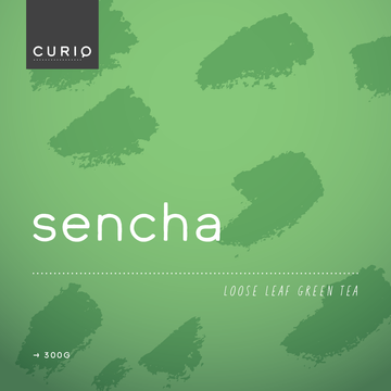 CURIO Sencha Green Tea by PIQUE Coffee