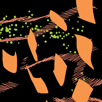 ETHIOPIA | Rachia Single Origin Coffee by PIQUE Coffee