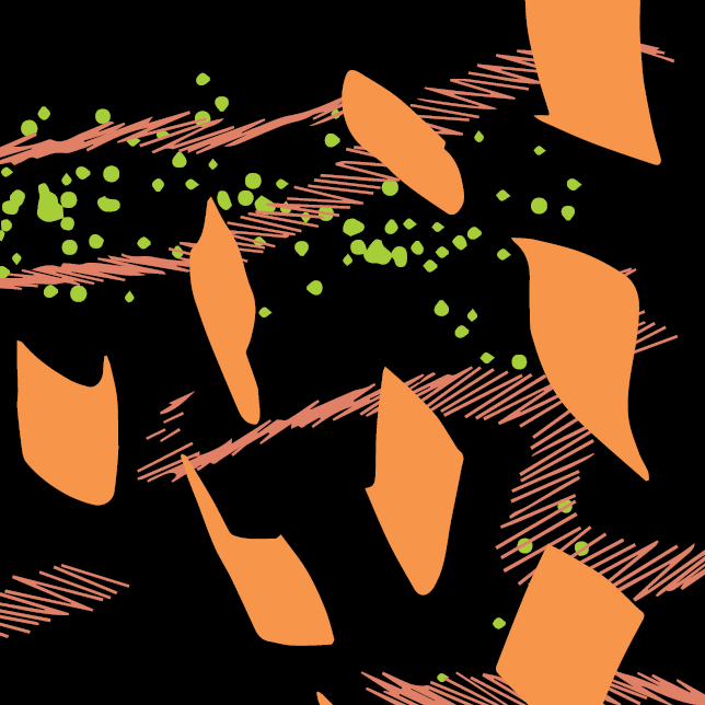 ETHIOPIA | Rachia Single Origin Coffee by PIQUE Coffee