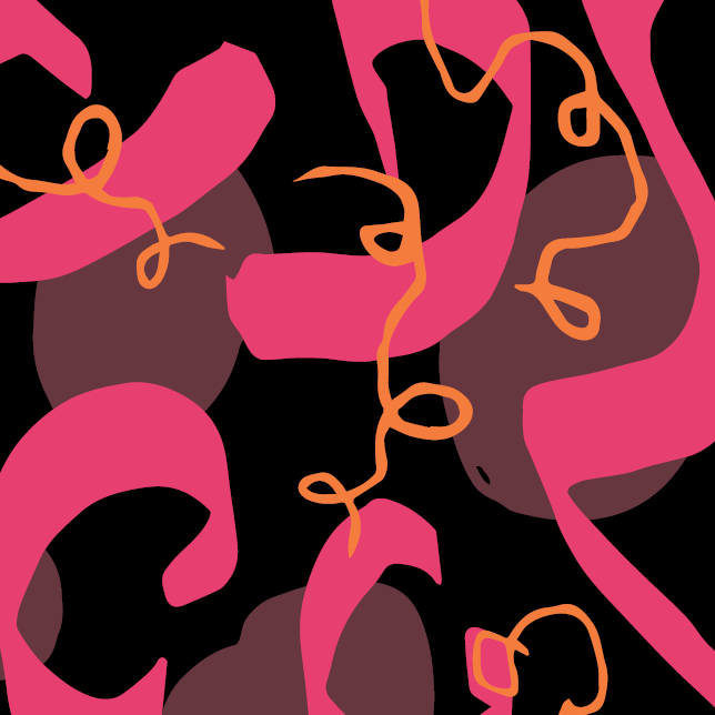 ETHIOPIA | Alaka | Natural Single Origin Coffee by PIQUE Coffee