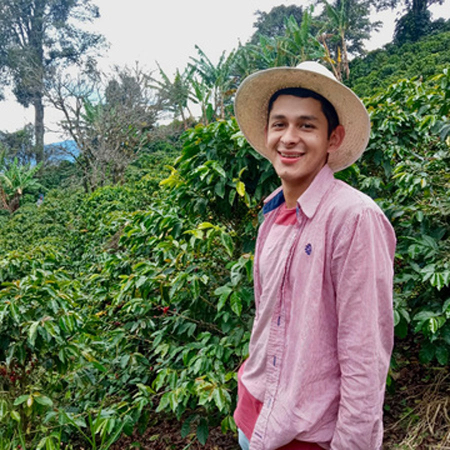 Coffee Farmer Camilo Londono | COLOMBIA Los Angeles Single Origin Coffee Beans by PIQUE Coffee