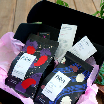 SINGLE ORIGIN BUNDLE by PIQUE Coffee